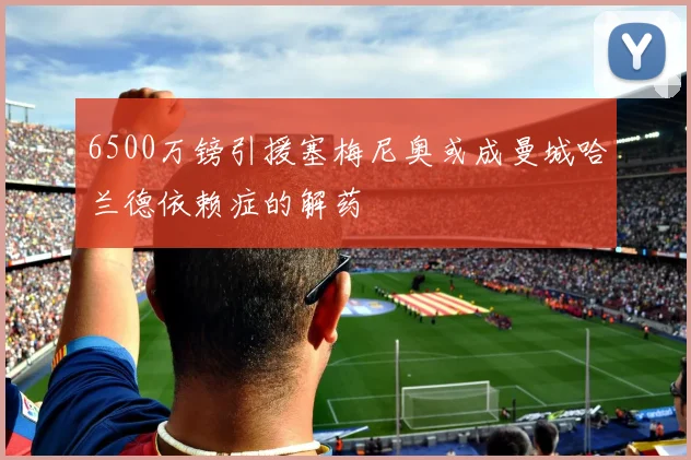 6500万镑引援塞梅尼奥或成曼城哈兰德依赖症的解药