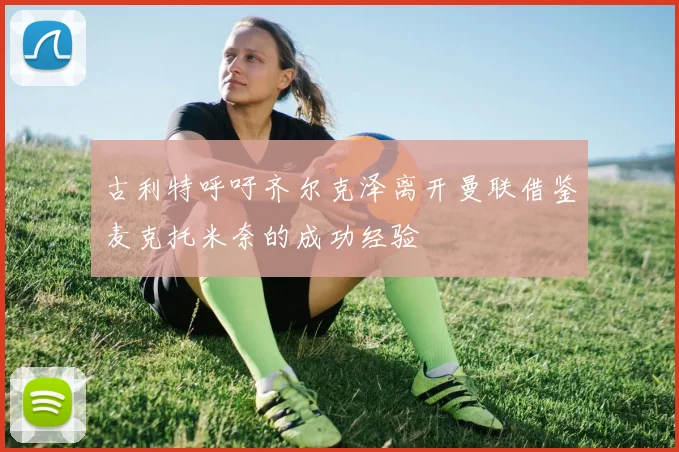 古利特呼吁齐尔克泽离开曼联借鉴麦克托米奈的成功经验