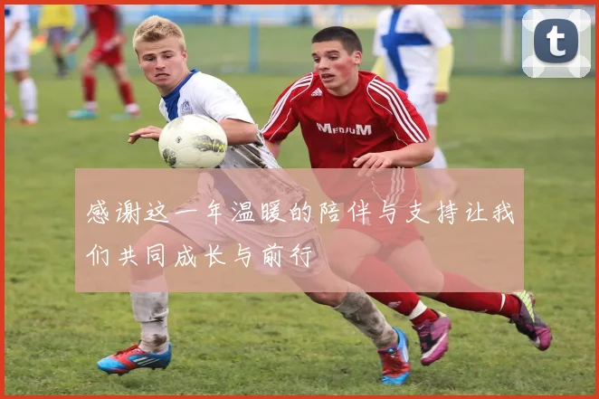 感谢这一年温暖的陪伴与支持让我们共同成长与前行