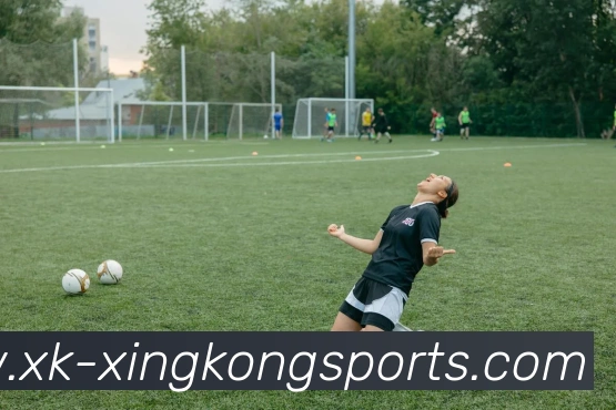 星空体育平台生态图